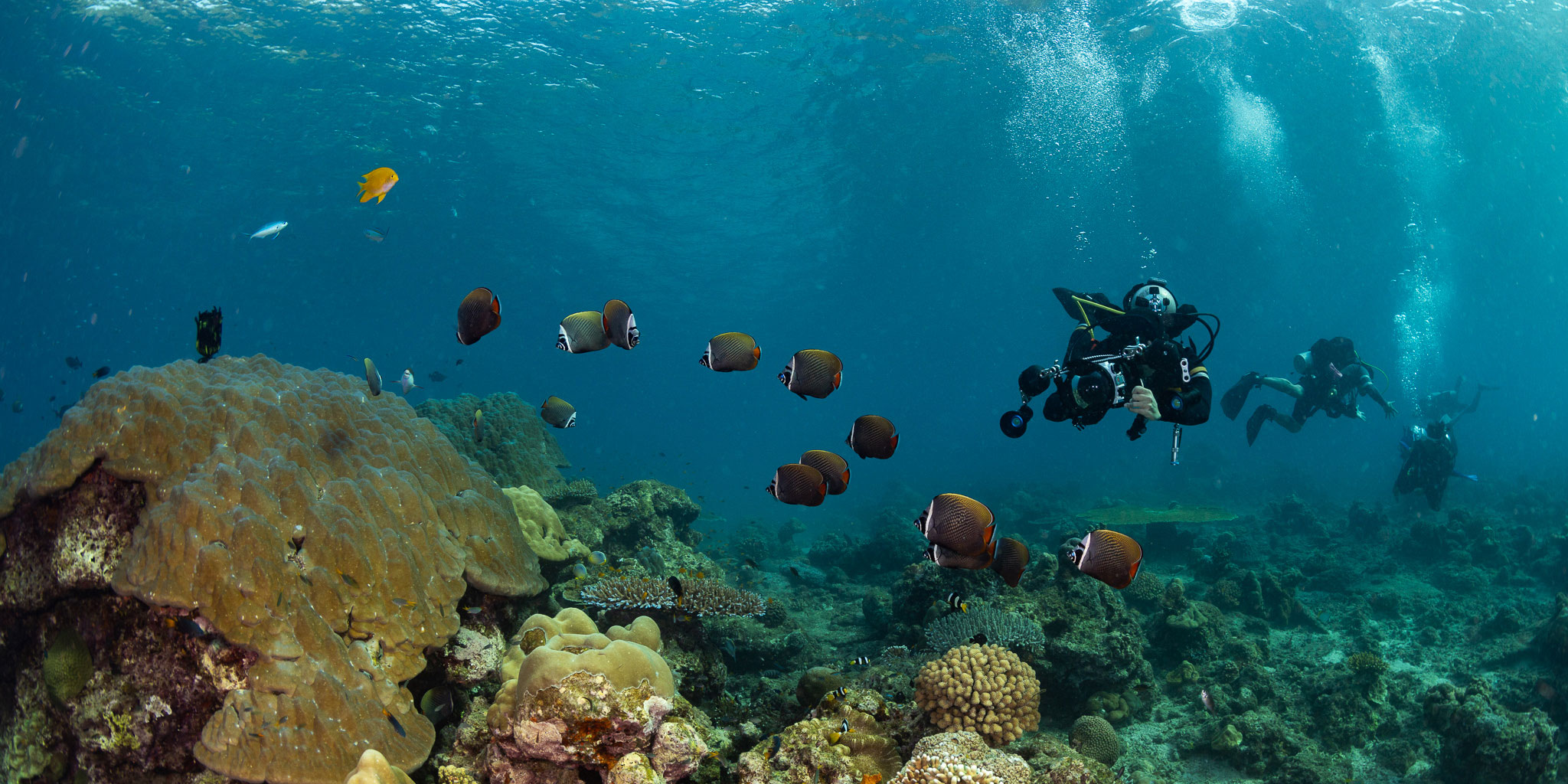 Diving, Sri Lanka