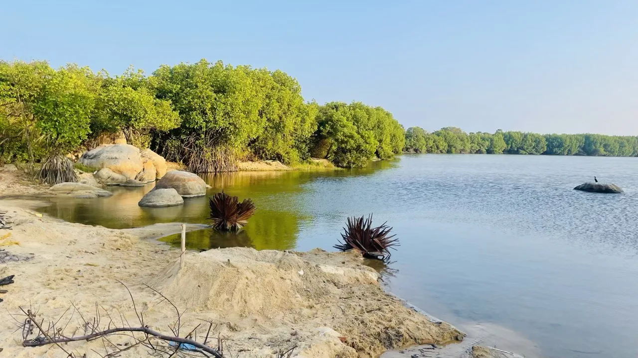 Pottuvil Lagoon Safari
