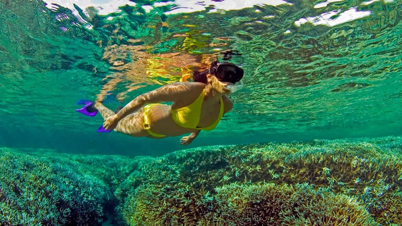 Snorkelling Sri Lanka reef