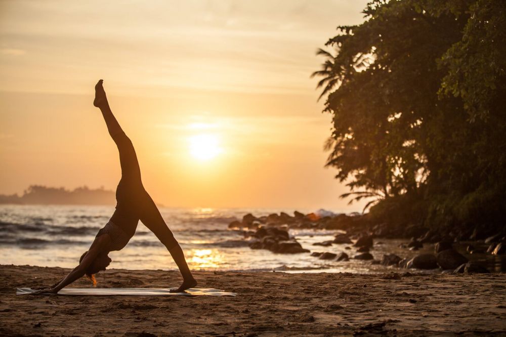 Wellness