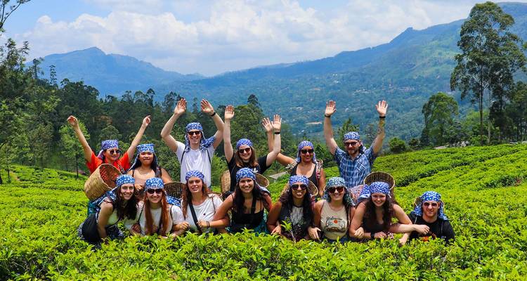 A hosted group trip in Sri Lanka