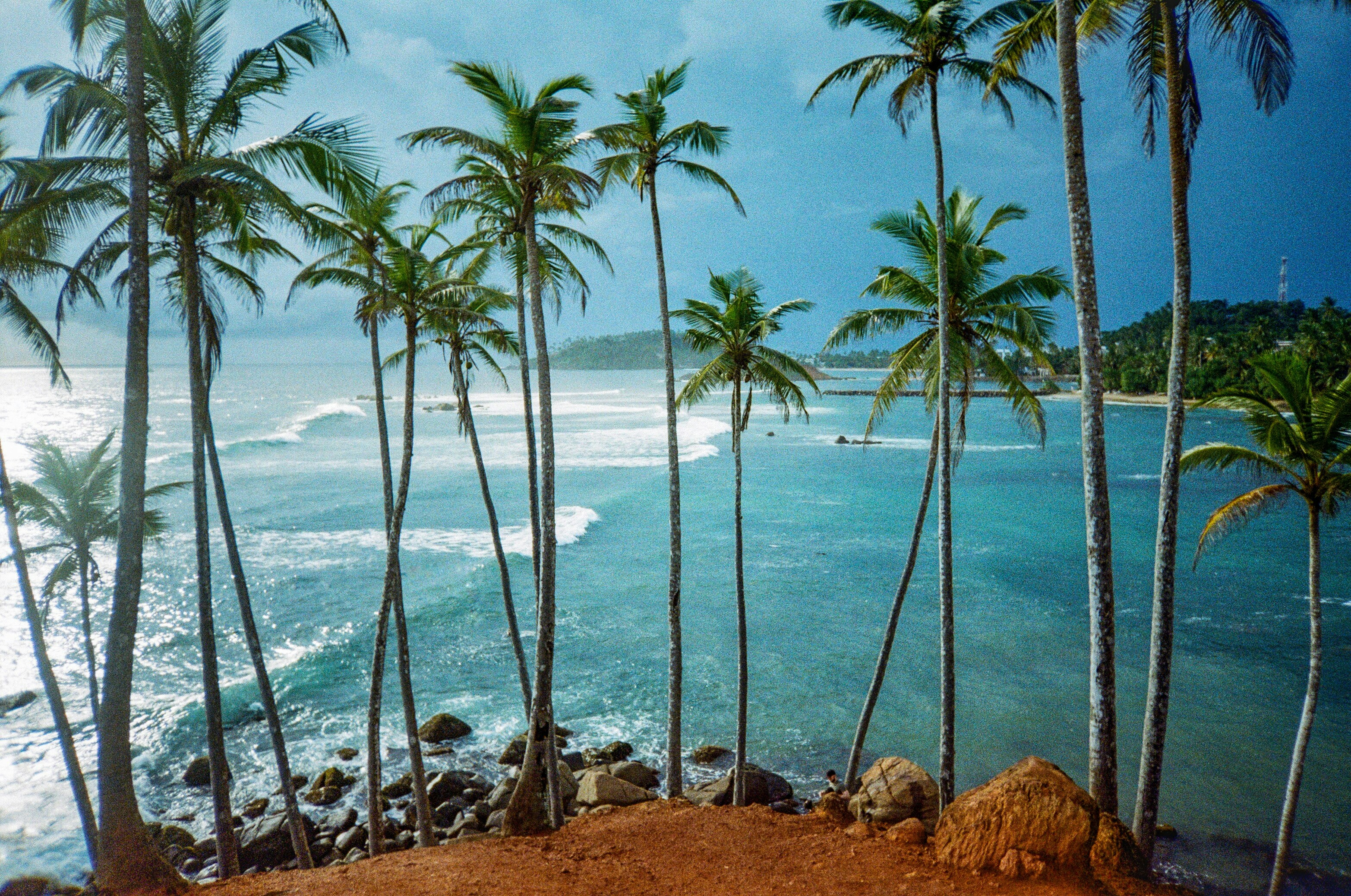 Coconut Tree Hill