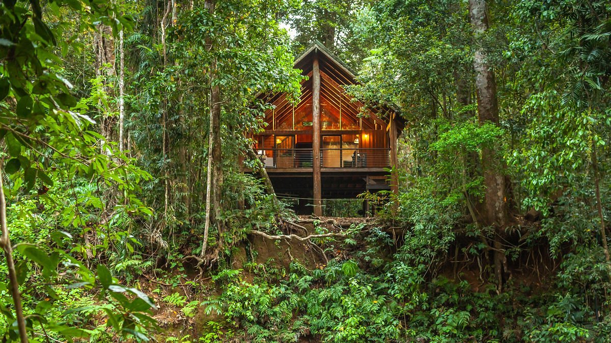 Forest retreat Sri Lanka